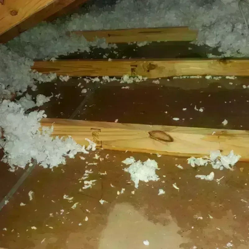 Attic Water Damage in Lake Stickney, WA