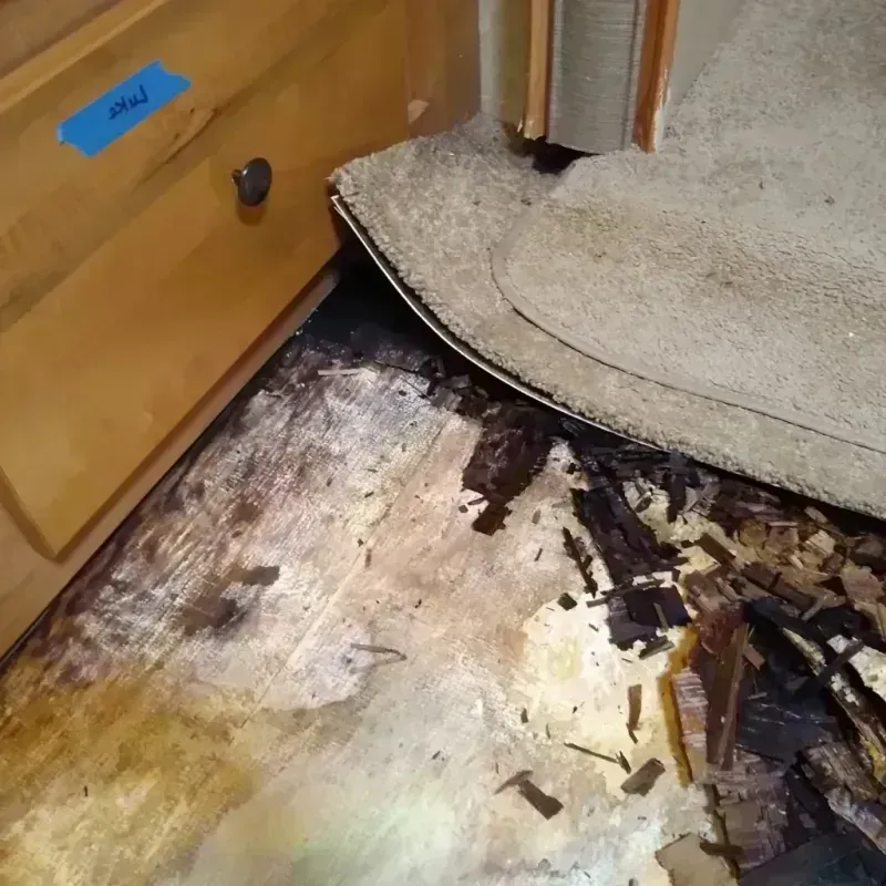 Wood Floor Water Damage in Lake Stickney, WA